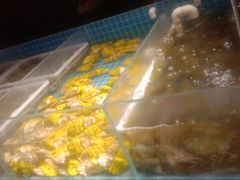 -长沙芙蓉国温德姆至尊豪廷大酒店-自助餐厅