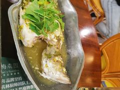-苏梅花园(群星城店)