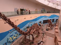 -陕西自然博物馆