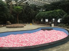 -龙达温泉生态城