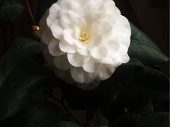 -三锅演义(南环路店)