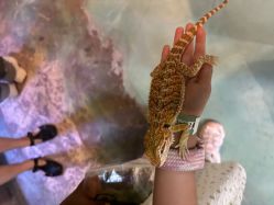 -酷嗒动物文化乐园(cutezoo西溪乐天城店)