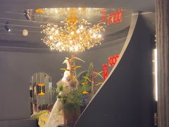 -滇野云南野生菌餐厅(陕西南路店)