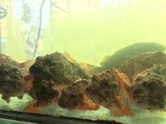 -合家小菜餐馆(新诚花苑店)