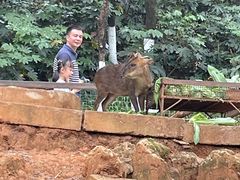 -昆明动物园