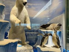 -国家自然博物馆