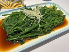 豌豆尖-峨嵋酒家(地安门店)