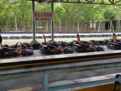 -上海海湾国家森林公园