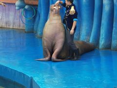 -华夏文旅海洋公园