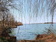 -南湖湿地公园