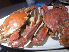 -高佳庄·海鲜酒楼(东港店)