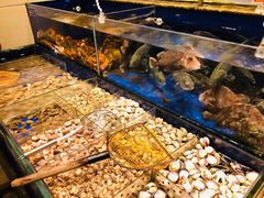 水产区-高佳庄·舟山海鲜(海景旗舰店)