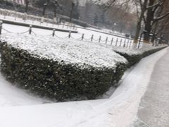 -康庄公园