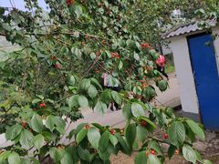 -樱桃山旅游景区