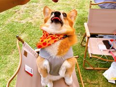 -南京外国语学校(仙林分校西区)