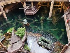 -长鹿旅游休博园