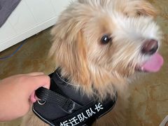 -萌兽医馆·宠物医院·猫骨科(创景店)