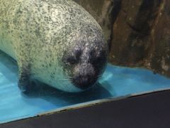 -常州海昌海洋探索馆