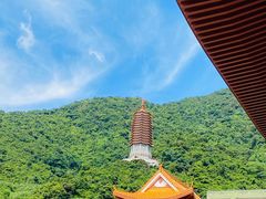 -深圳仙湖植物园