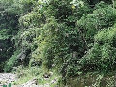 -老妈灶房柴火鸡(香雪海路店)