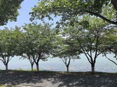-羊山湖公园