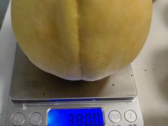 -樂桃源奉贤黄桃种植采摘基地