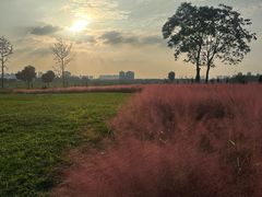 -汉长安城未央宫国家考古遗址公园