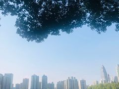 -西北湖绿化广场