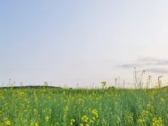 -光明小镇欢乐田园