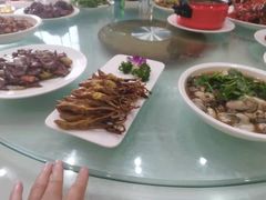 -宝发园名菜馆