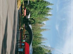 -东平国家森林公园