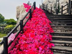 -海合安苏州阳澄半岛乐园