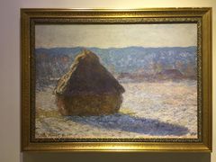 -印象莫奈时光映迹艺术展