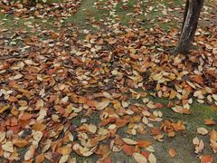 -苏州河梦清园环保主题公园