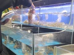 -苏格里岛自助海鲜烤肉火锅(集美万达店)