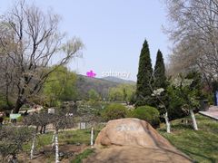 -棒棰岛宾馆景区
