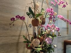 -白天鹅宾馆-宏图府餐厅