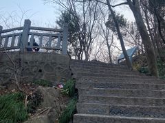 -紫金山山顶公园