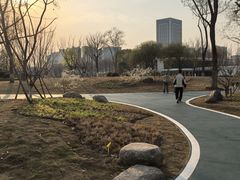 -后襄河公园