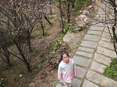 -草庵摩尼教遗址公园