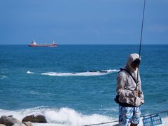 -广东惠东海龟国家级自然保护区