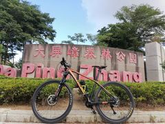 -大屏嶂森林公园
