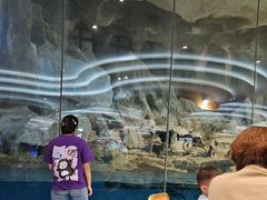 -帝企鹅自助餐厅•儿童岛•真企鹅(长隆企鹅酒店)