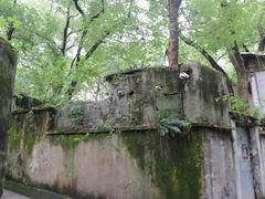 -临安城遗址(太庙遗址)