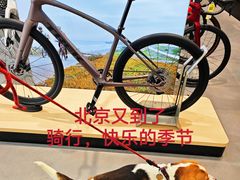 -日本大使馆-新闻文化中心