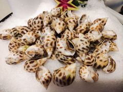 -新长福(星沙店)
