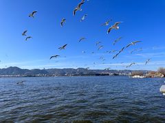 -海埂大坝