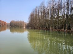 -上海海湾国家森林公园