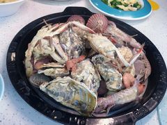 -日照海滨国家森林公园