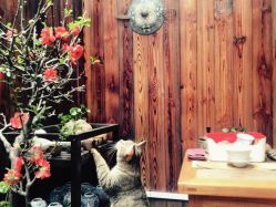 -游刃刺青TATTOO纹身工作室